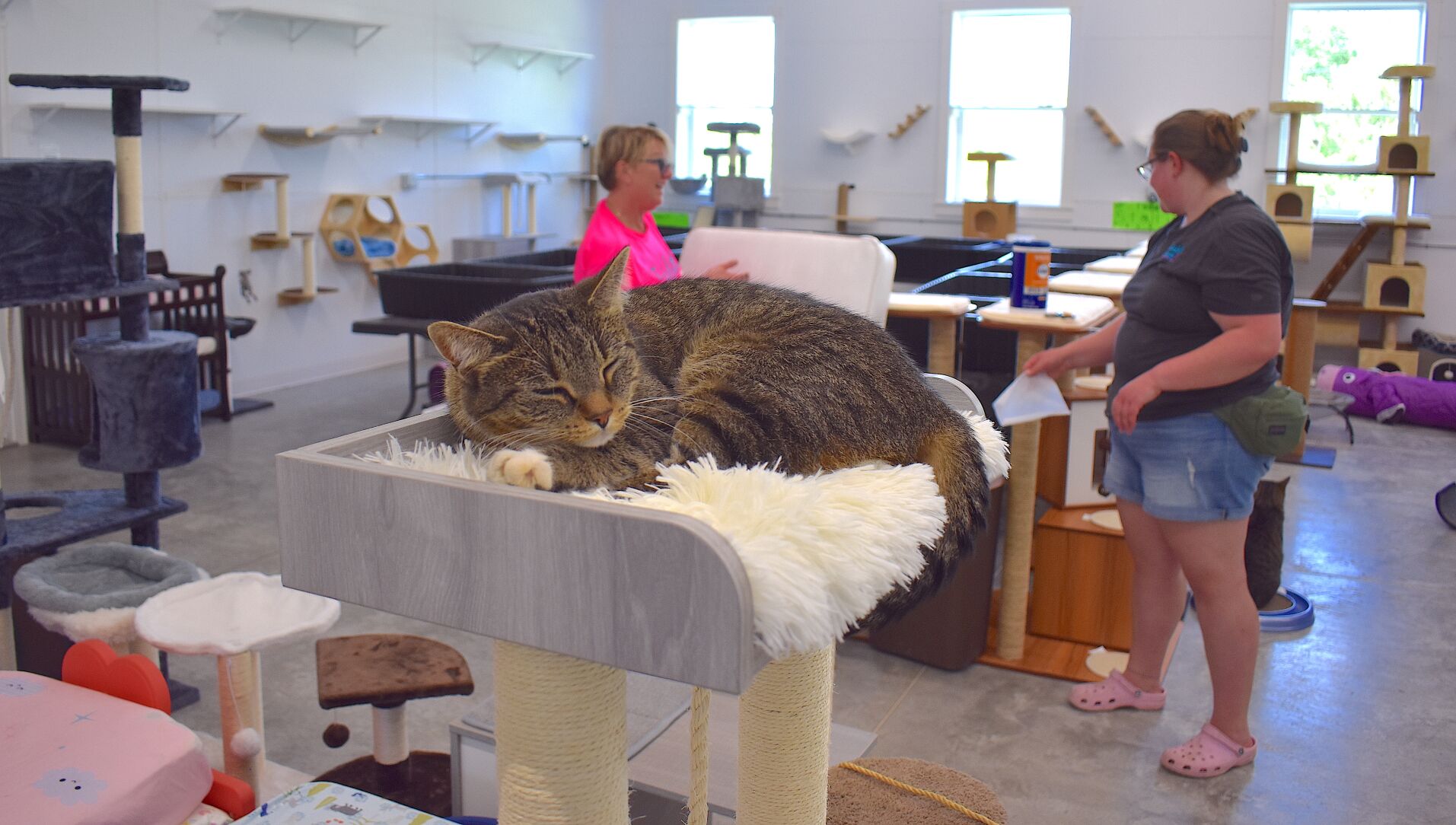Furball Farm